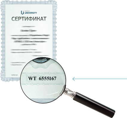 Example certificate number